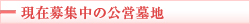 �����罸��θ�������