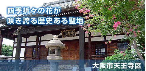銀山寺墓地の写真